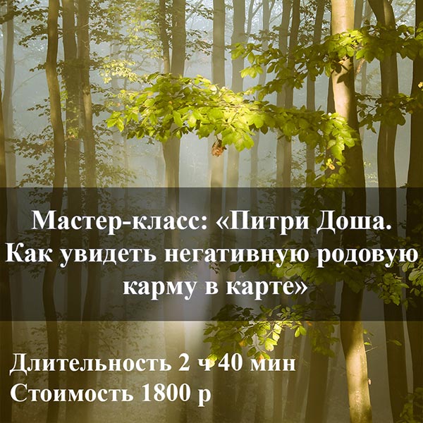 МАСТЕР-КЛАСС: «ПИТРИ ДОША. КАК УВИДЕТЬ НЕГАТИВНУЮ РОДОВУЮ КАРМУ В КАРТЕ»