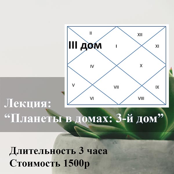 ЛЕКЦИЯ: «ПЛАНЕТЫ В ДОМАХ: 3-Й ДОМ»